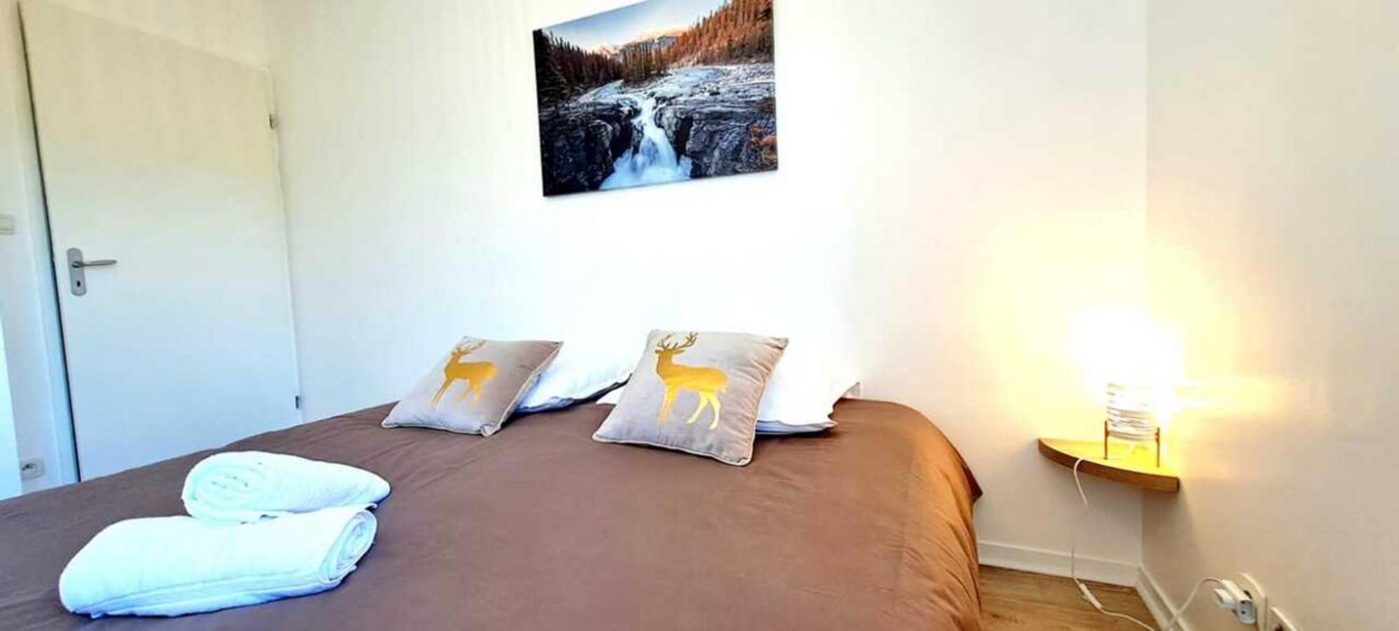 Browny Home*Vue Montagne*Proximite Grands Axes ボンヌヴィル エクステリア 写真